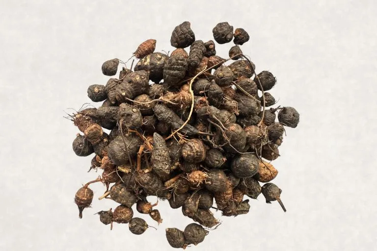 Havan Cup ingredients Nagarmotha